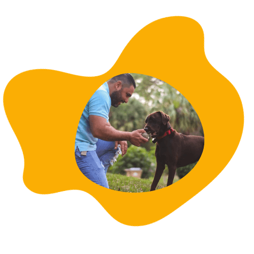 find your perfect buddy for your lifestyle