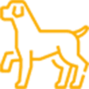 Go to the dog park, take a bike ride, visit the beach, & walks