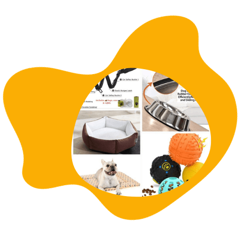 Buy lots of dog food, dog house, dog bed, treats, & toys!